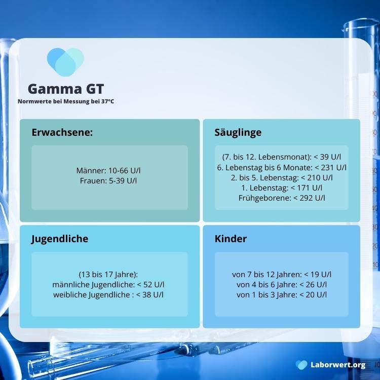Gamma GT Normwerte für Erwachsene, Kinder, Jugendliche und Säuglinge Tabelle